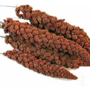 Senegalské klasy 1kg