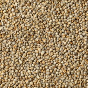 Proso zelené 1kg