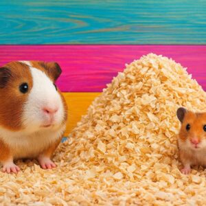 Bezprašné hobliny hrubé 1kg