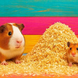 Bezprašné hobliny jemné 1kg