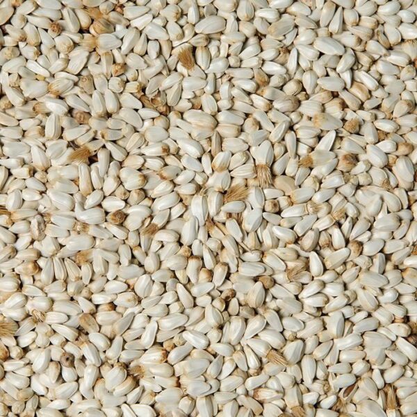 Kardi (saflor) 1kg