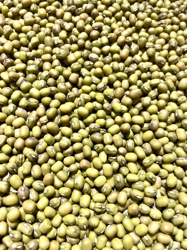 Mungo fazole 1Kg