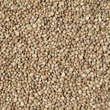 Semenec (konopí) 1kg