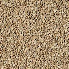 Semenec (konopí) SUPER CENA 1kg