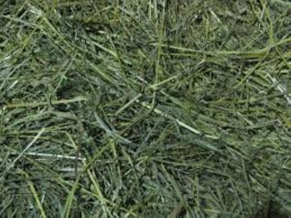 Seno z Beskyd 2kg