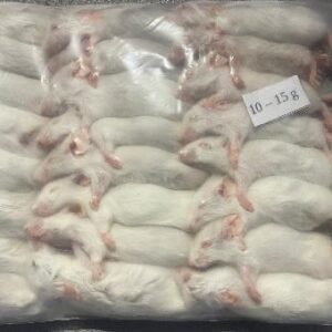 Mražená myš 10-15g /25ks