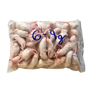 Mražená myš-medvídek 6-9g /25ks