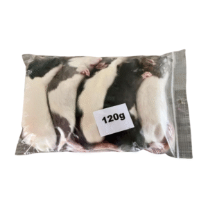 Potkan mražený 120g/ balení 5ks