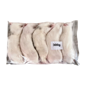 Potkan mražený 300g/ balení 5ks