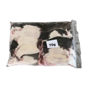 Mražený potkan 70g +-/ balení 10ks