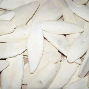Sépiová kost 10-15cm