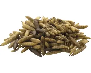 Bráněnka 0,25 Kg