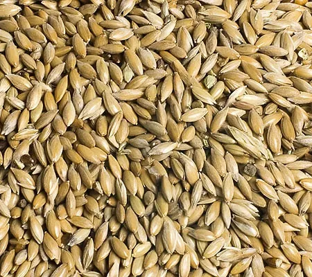 Lesknice 10kg